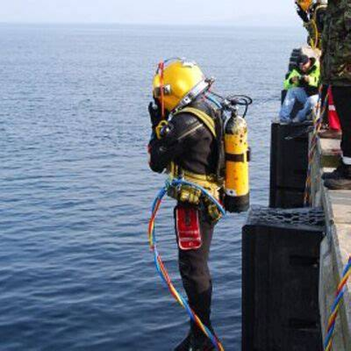 Representative DKG DIVING sector imagery